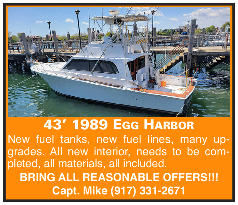 HUNTER-FISHING-EGG-HARBOR-6222_Layout-1.gif